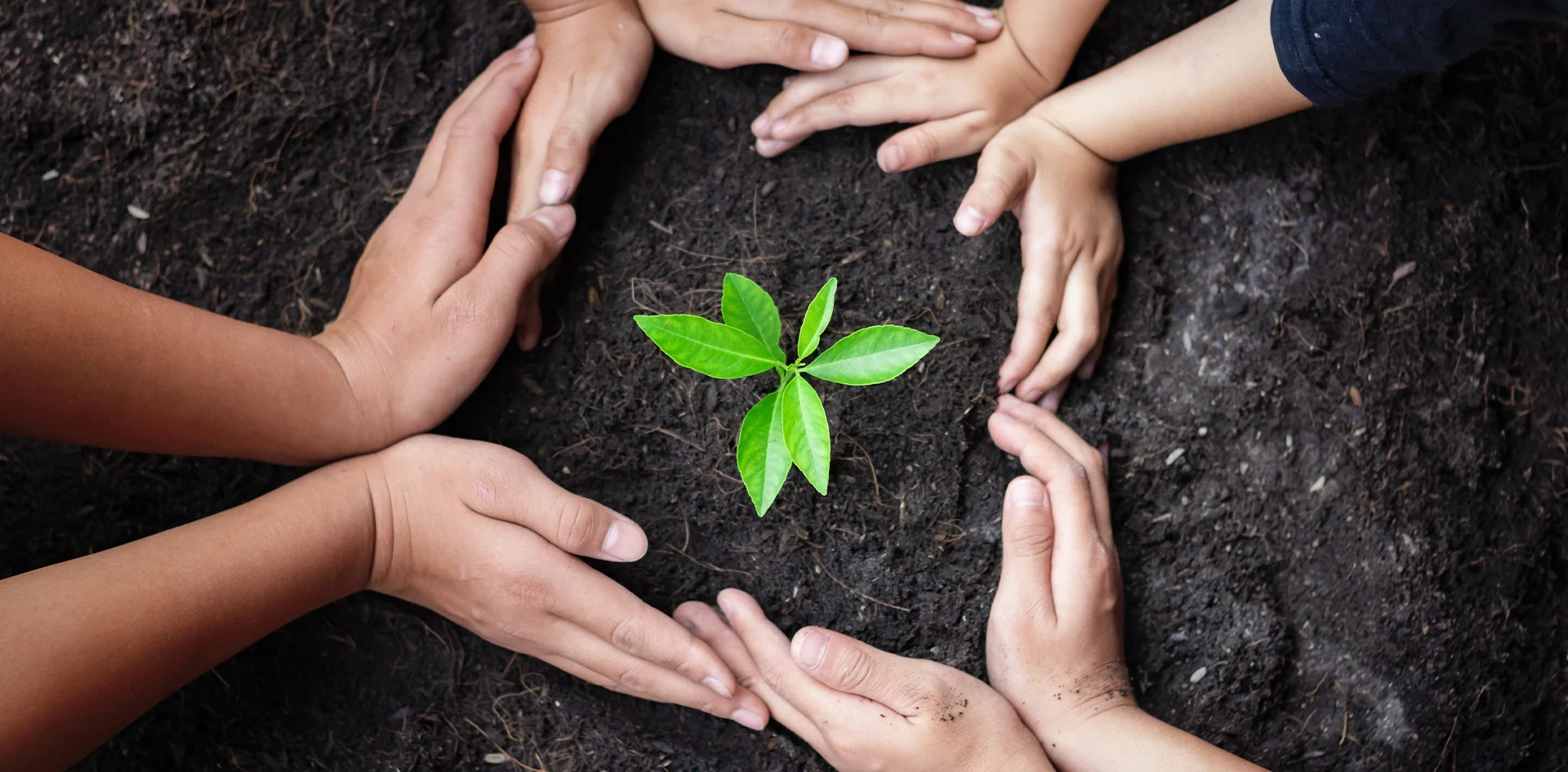 Our Sustainability Pledge